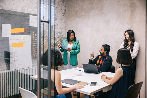 Strategic planning and program execution